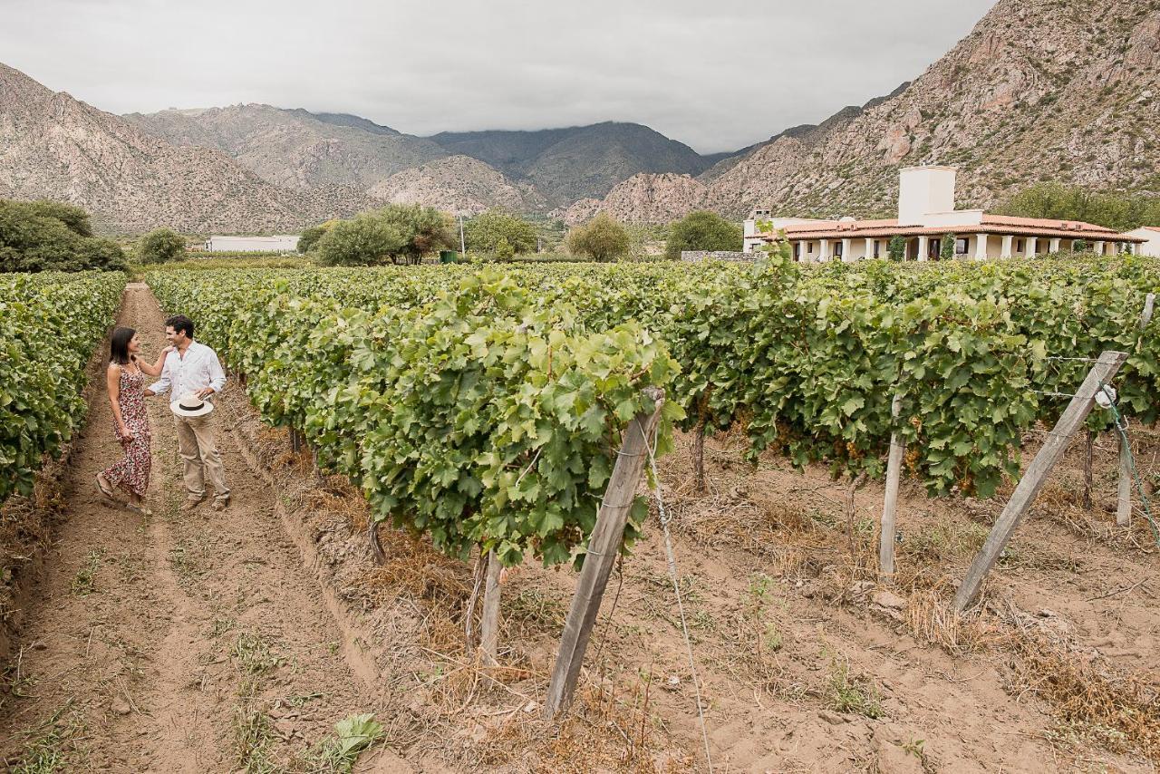 Vinas De Cafayate Wine Resort Екстер'єр фото