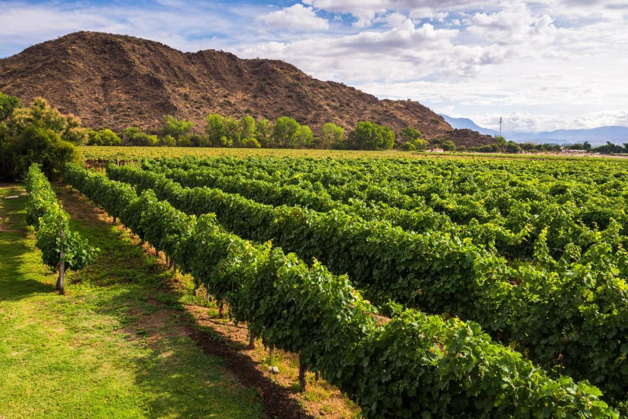 Vinas De Cafayate Wine Resort Екстер'єр фото